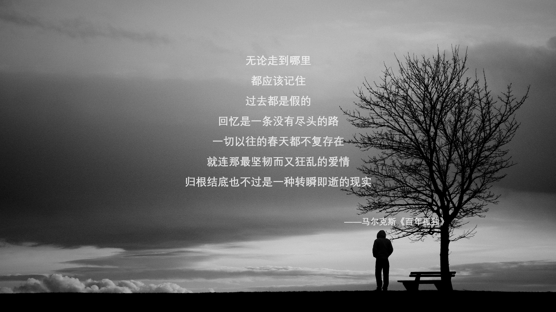 世界举重青训营康复训练数据与建议汇编，世界举重比赛规则