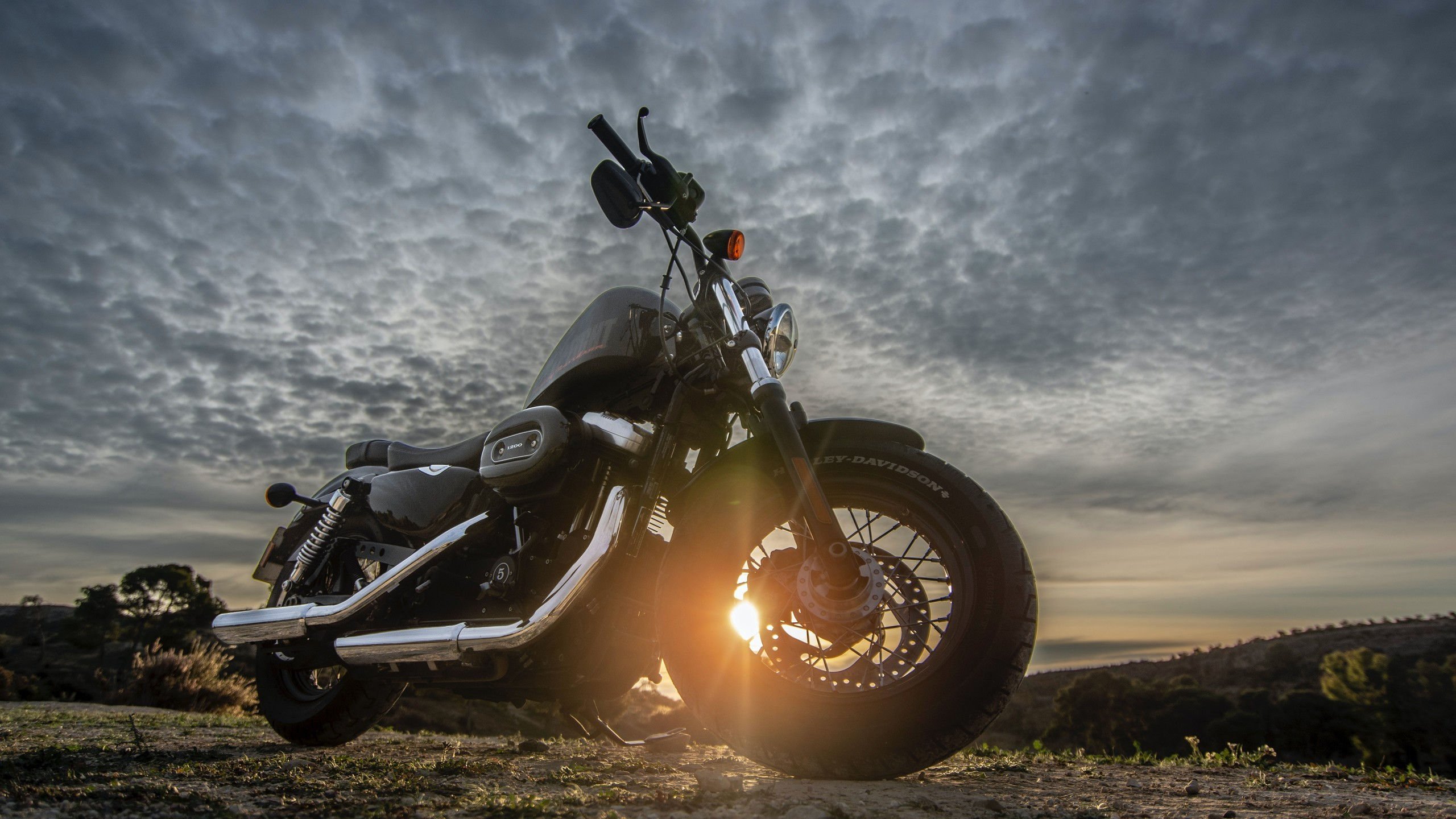 世界乒乓球联赛季终最佳新人评选规则第19版发布，乒乓球选手世界排名规则